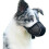Dog Muzzle Prevents Chewing/Eating/Bite - Breathable, Reflective and Adjustable Muzzle Cover - Anti-Bite (L) 1