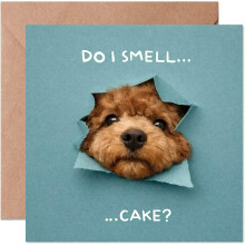 Funny Dog Birthday Card with Envelope - Do I Smell Cake? Humorous Themed Birthday Card for dog lovers, Cute Puppy Peeking Greeting Card for Mum, Dad,