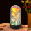 Rose Galaxy préservée sous dôme de verre avec éclairage LED 4