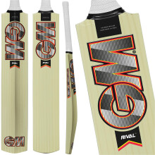GM Rival Kashmir Willow Cricket Bat – Entry Level Bat for Beginners, Durable Kashmir Willow, Control Grip, Size Harrow