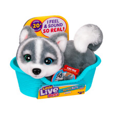 Little Live Pets My Really Real Puppy Minis- Aurora the Husky| Interactive Puppy with 20+ Sounds & Reactions- Includes Basket for Display. Fun & Ador