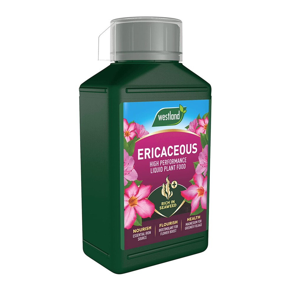 Westland Ericaceous Liquid Plant Food 1Lt Concentrate