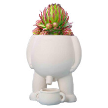 Piss Pot Planter, Piss Pot for Plants,Novelty Peeing Planter Pot,Peeing Planter Pot,Peeing Funny Vase,Home Decor,Funny Gift Idea,S