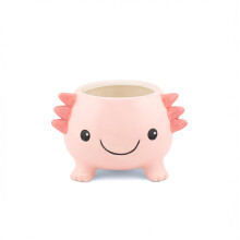 Sass & Belle Axolotl Planter - Indoor Plant Pot, Animal Design for Cactus or Succulent, Ceramic Planter for Home Décor, Flower Pot