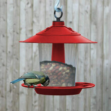 Worth Gardening by Garland Hanging Lantern Bird Seed & Nut Feeder (Red)