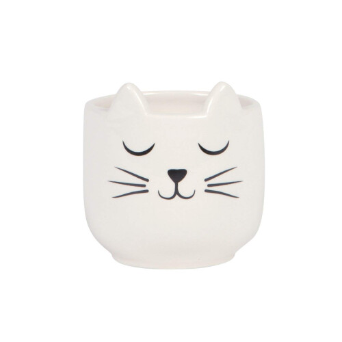 Sass & Belle Mini Cat's Whiskers White Planter