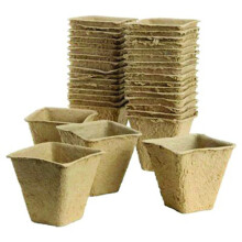 Gro-sure Fibre Pots Square 6cm 20pk Propagation kit, Brown