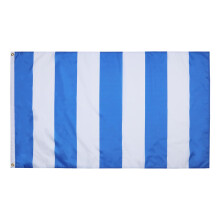 AZ FLAG - Blue And White Striped Flag - 3x5 Ft - 100D Polyester Blue And White Banner with Two Metal Grommets - Fade Resistant - V