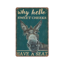 DAIERCY Retro Teal Why Hello Sweet Cheeks Donkey Tin Signs, Love Donkey Sign for Home, Funny Vintage Metal Sign Plaqu Poster Wall
