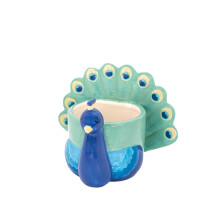 Sass & Belle Peacock Ceramic Indoor Planter – Colourful Mini Pot for Succulents, Cactus, Flower Bulbs, Quirky Home Décor, Garden A