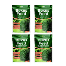 Vitax Buxus Feed 1kg (4)