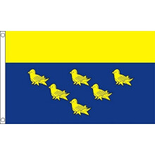AZ FLAG - West Sussex County Flag - 2x3 Ft- 100D Polyester County Of West Sussex - England Banner with Two Metal Grommets - Fade R