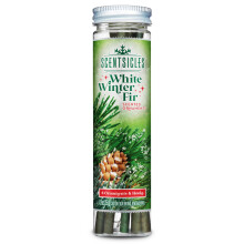 Scentsicles White Winter Fir Scent Sticks, Green