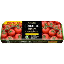 Levington Tomorite Giant Planter