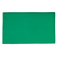 AZ FLAG - Race Officer Green Flag - 2x3 Ft - 100D Polyester Racing Banner with Two Metal Grommets - Fade Resistant - Vivid Colors