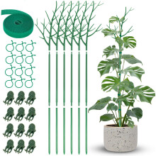 NiHome Comprehensive Plant Support Stake Set of 6 - Durable, UV Resistant 39.5"/101cm Stakes with Extension Poles, Orchid Clips &