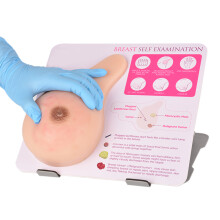 SimCoach Human Breast Model, Self Examination Anatomical Breast Teaching Model, Female Breast Lump Model for Medical Education