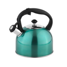 Amazon Basics Stainless Steel Kettle, 2.3 litres, Teal