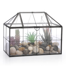 SUMTree Black Glass Plant Terrarium with Square Grid, Garden Moss Container with Swing Lid, Airplant Display Box for Succulent Pla