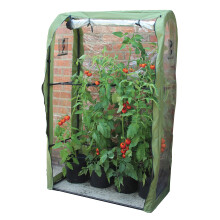 Haxnicks Tomato Crop-Booster Poly Cover | L 100cm x W 50cm x H 160cm | FRAME220101, Green/Clear