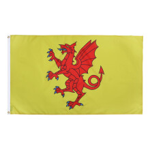 AZ FLAG - Somerset New County Flag - 2x3 Ft - 100D Polyester County Of Somerset - England Banner with Two Metal Grommets - Fade Re