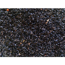12.5KG STANDARD WILD BIRD NIGER SEED SOLD BY MALTBY'S CORN STORES (EST 1904)