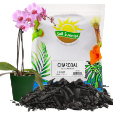 Horticultural Charcoal for Indoor Plants (2 Quarts), Hardwood Soil Amendment, Orchids, Terrariums, and Gardening