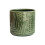 Orla Glazed Fern Planter 1