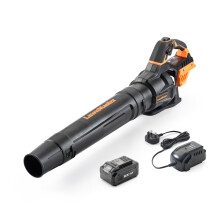 LawnMaster MX 24V Axial Cordless Leaf Blower. Powerful Battery Operated Garden Blower with MX 24V Lithium ion Battery and Charger,