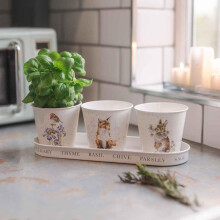 Wrendale Designs By Hannah Dale - 'Woodland' Set of 3 Herb Pots and Tray