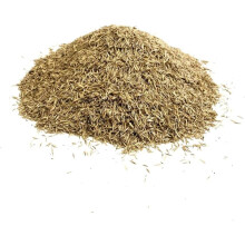 Back Lawn Grass Seed 1kg Hard Wearing (Covers 20 Square metres) LGH