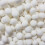 Mint Imperials 1Kg 2