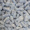 Blue Mix 1Kg 4