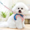 Harnais pour chien durable pour petits chiens sans-L Bleu 3