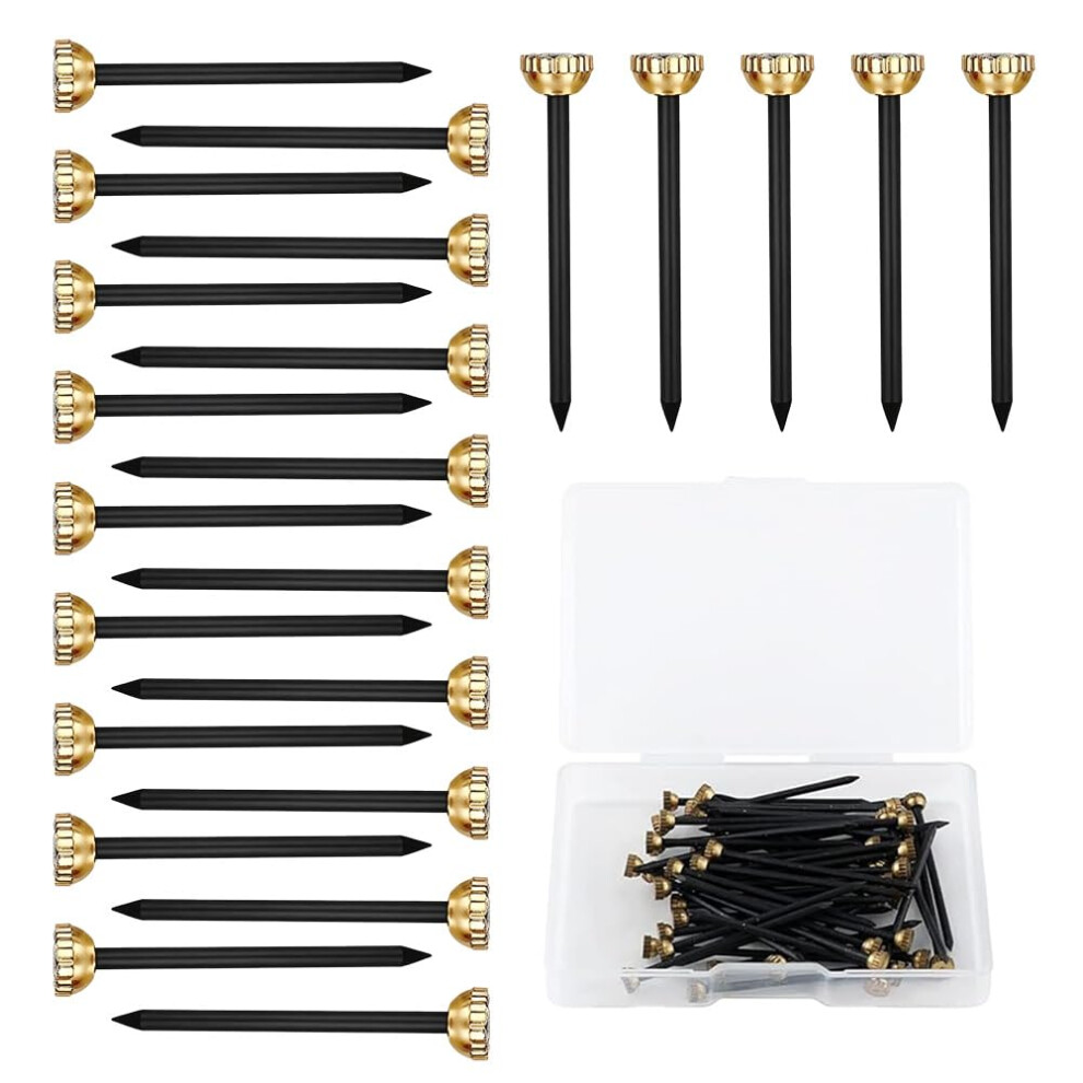 Vexorlian 60 Pcs Brass Picture Pins With Storage Box,Picture Pins Frame Hanging Nail For Photo Frames & Art 5051226578427