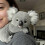 Emotional Support Koala Plush compatible with Anxiety Relief and Comcompatible witht 2