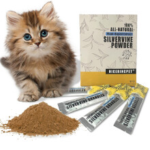 NICERINC PET 10Pack Silvervine Powder Lickable Formula Individually Packaged for Cat Toys,Organic Gall Fruit Powder(Matatabi),Refillable Catnip Toys