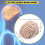 Human Brain,Life Size Human Brain Anatomy Model with Display Base, for Science Classroom Study & Teaching Display B-hy 3