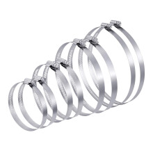 FRIUSATE 8 Pcs Jubilee Clips Stainless Steel Hose Clips Duct Clamps, Adjustable 72-165 mm Range