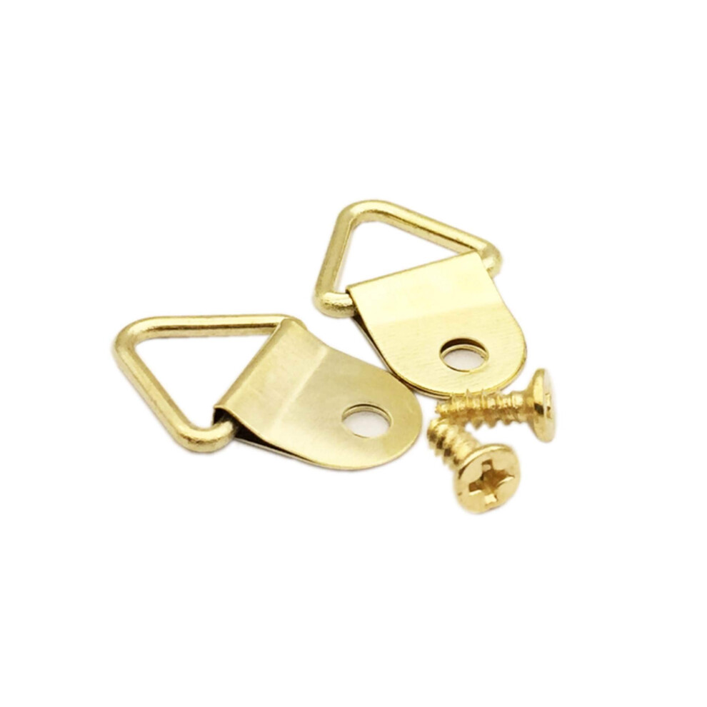 100 Pack Metal Triangle Ring Picture Hangers, D Rings Picture Hanging Hooks With Screws 5051226663017