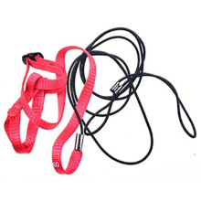 Arnês ajustável para aves, ideal para treino de voo ao ar livre: perfeito para que as aves desfrutem da natureza. A corda flexível anti-mordida