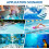 Filter Balls, 1600g Pool Filter Balls, Suitable for Various Filtration Systems, Sand Filter 2