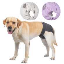 BePetMia Washable Diapers for Female Dogs, Hygienic & Sanitary Panties for Dogs in Heat, 5 Sizes Suitable for All Dogs (3-Packs, S: 11.8"-17.7")