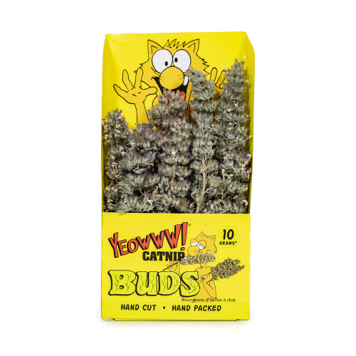 Yeowww Yeowww! Catnip Buds