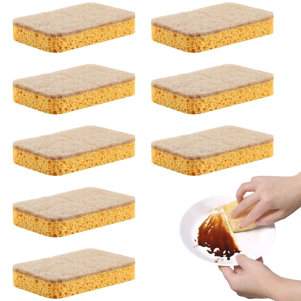 Oyiclyea Eco Sponge Scourers 8 Pack Sponges Washing Up,Eco Sponges Washing Up,Kitchen Dishwashing Sponge,Biodegradable,Environmentally 5051226770258
