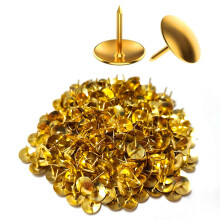 300 Metal Drawing Push Pins - Gold Pins, Thumb Tacks for Notice Board, Cork Map, Office, School, Art/Crafts (with Storage Box)