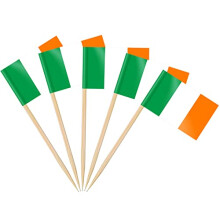AhfuLife 100/200pcs Ireland Toothpick Flags Cake Toppers for St. Patrick's Day, Irish Cocktail Stick Flag for Sandwich Food Cupcake Toppers Party