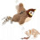 (Sparrow) Electronic Interactive Flying Bird Cat Toy Hanging Pet Flapping Wings Sparrow 1