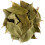 Bay Leaf Organic Herb Laurel - Whole Culinary Quality Leaf - 100g 1