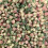 Spearmint Drop pips spearmint flavoured boiled traditional sweets (250g) 1